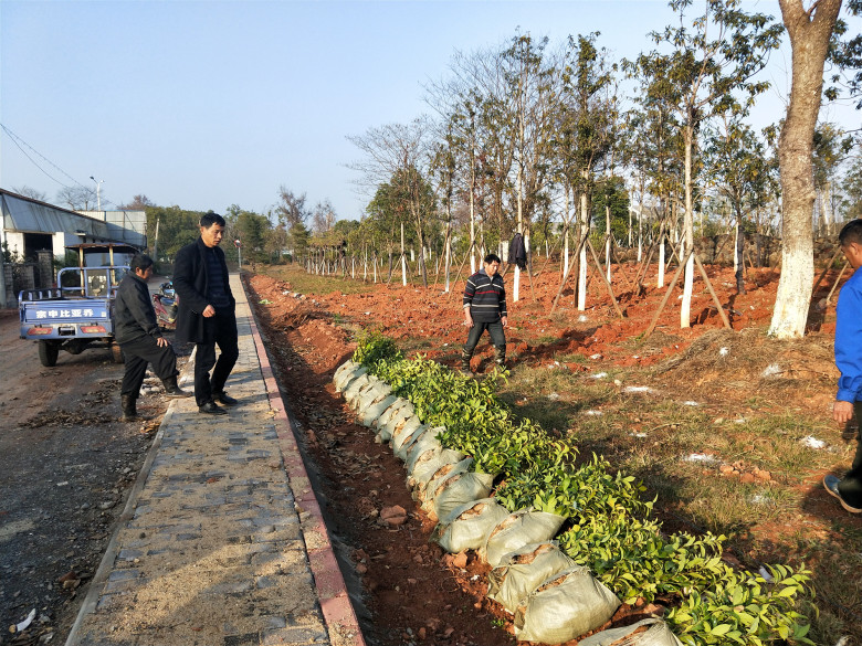 微信图片_20200101144750_副本.jpg